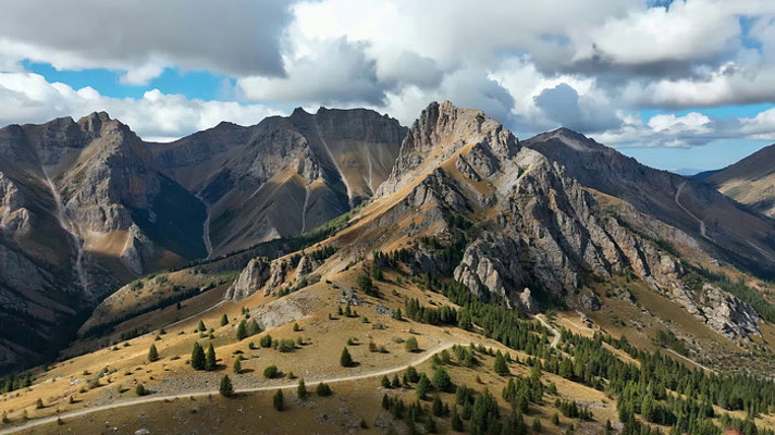 ɽ��ɭ��ȫ����Ȼ���