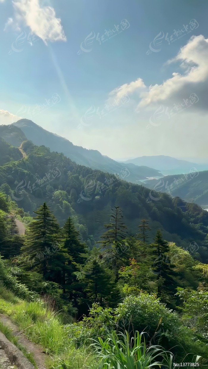 ɽ��ɭ����Ȼ���ȫ��