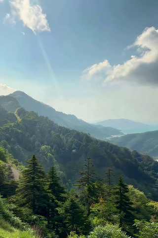 山间森林自然风光全景 山间森林自然风光全景