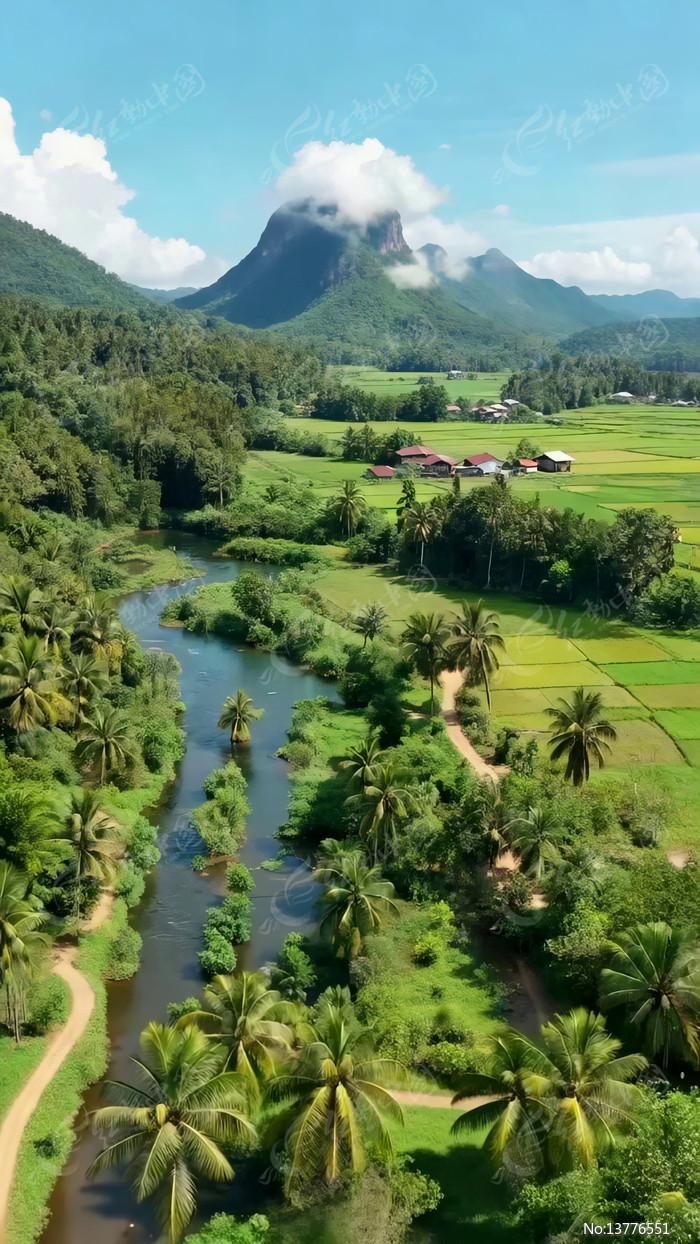 ɽ����԰�������ķ��