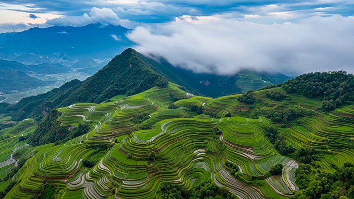 山间梯田俯瞰美景 山间梯田俯瞰美景