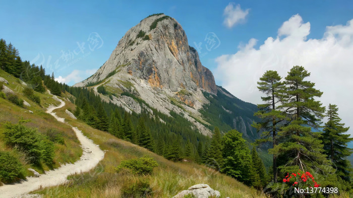 ɽ��С·�Ե�Ρ��ɽ����ɭ��