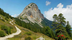 ɽ��С·�Ե�Ρ��ɽ����ɭ��