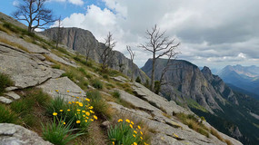 ɽ����ʯ��Ұ����Ȼ���