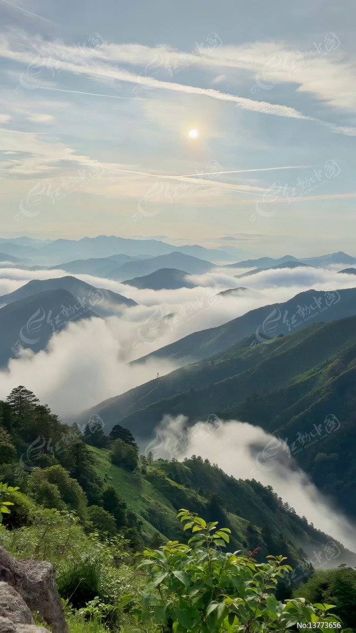 ɽ���ƺ��ճ�����