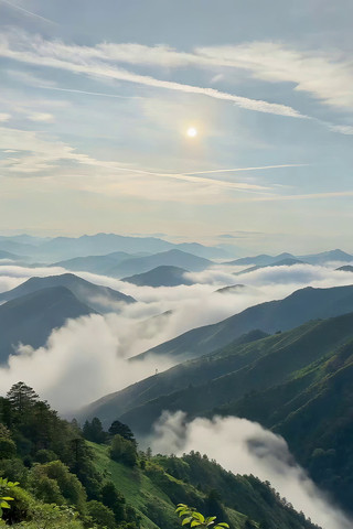 ɽ���ƺ��ճ�����