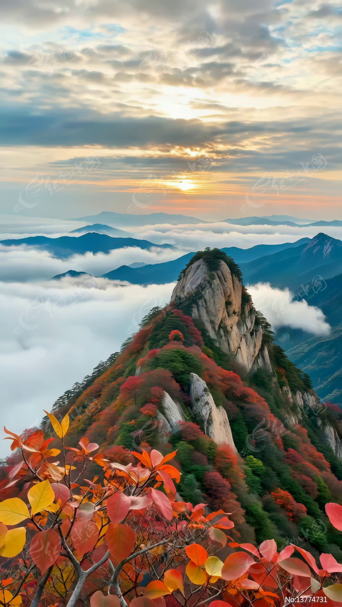 ɽ���ƺ��ճ���Ȼ���