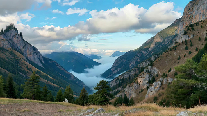 ɽ���������Ƶ���Ȼ���