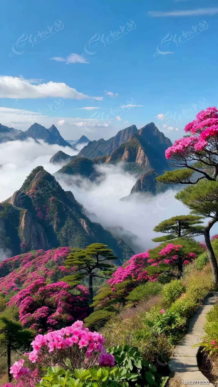 ɽ���������Ƶ���Ȼ���