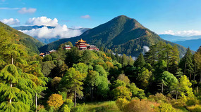 ɽ�ּ�Ž���ȫ��