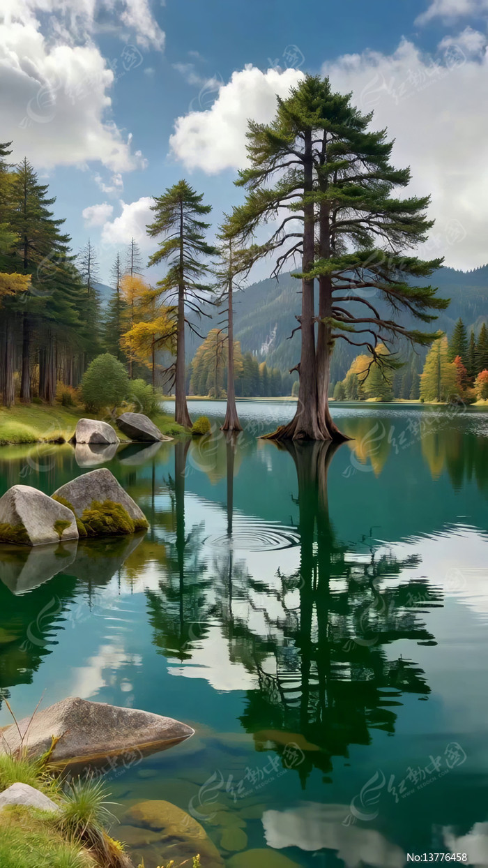 ɽ�ּ侲�׺�����Ȼ����