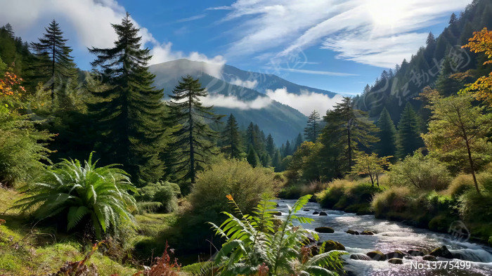 ɽ�ּ�Ϫ����Ȼ���