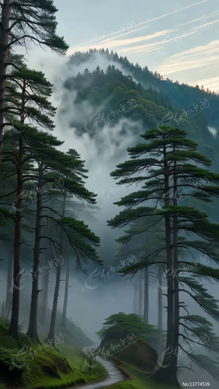 ɽ�ּ��������Ƶ���ľ�羰