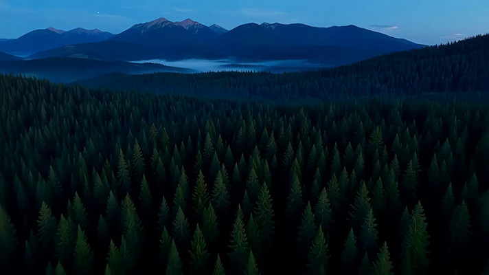 山林暮色全景 山林暮色全景