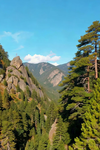 ɽ����ʯ��Զ��ɽ���羰