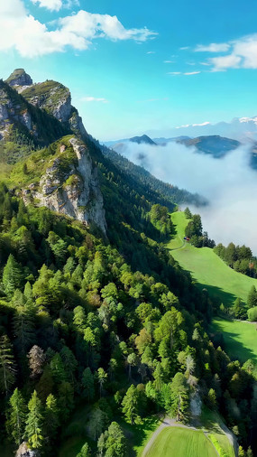 ɽ��ɭ����Ȼ��⺽��