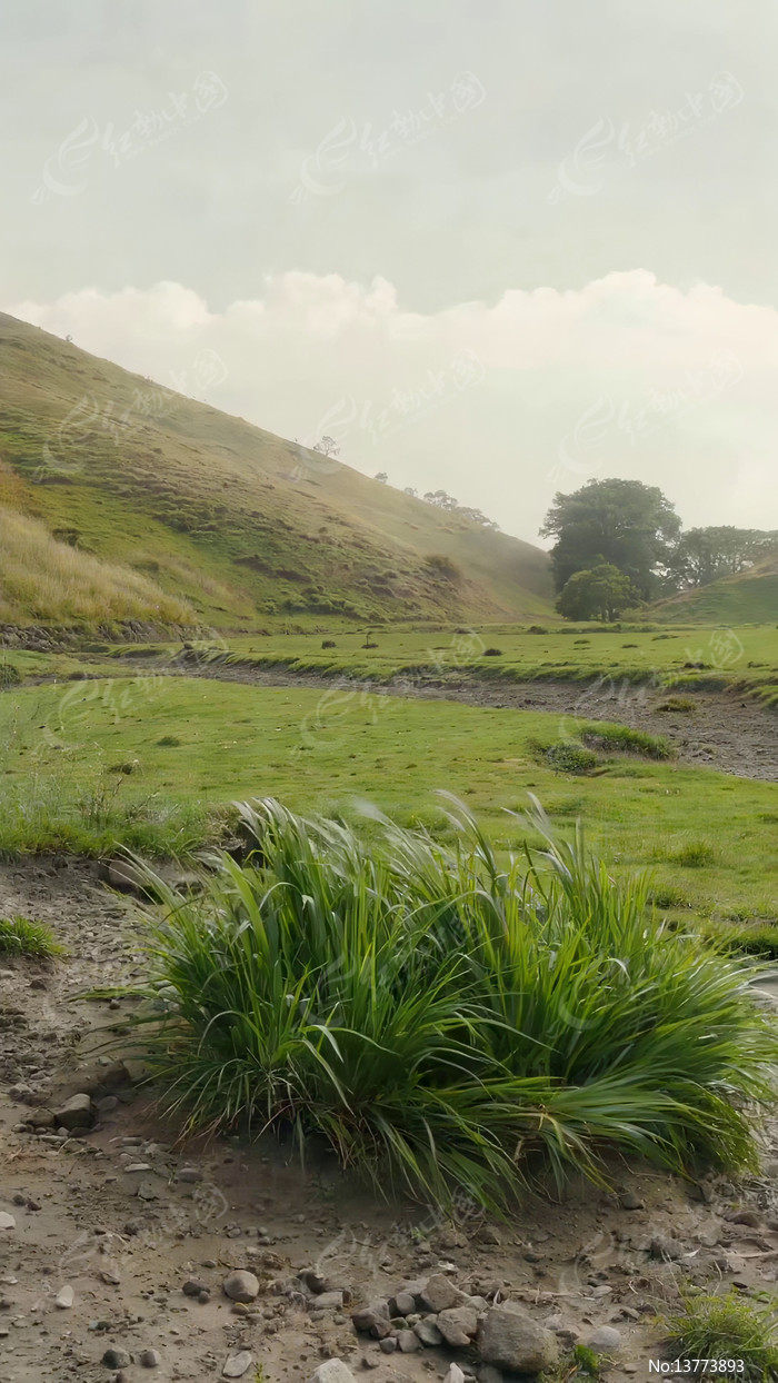 ɽ�²ݵ���Ȼ���