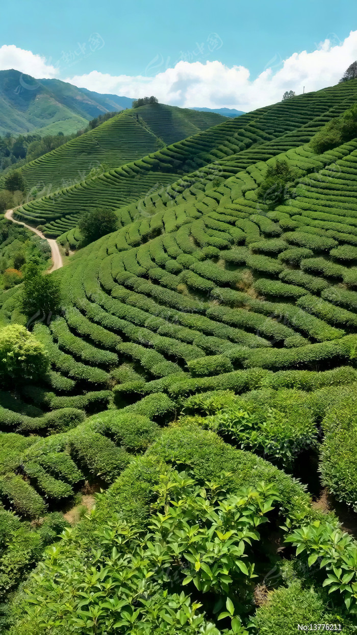 ɽ���ϵ������԰����