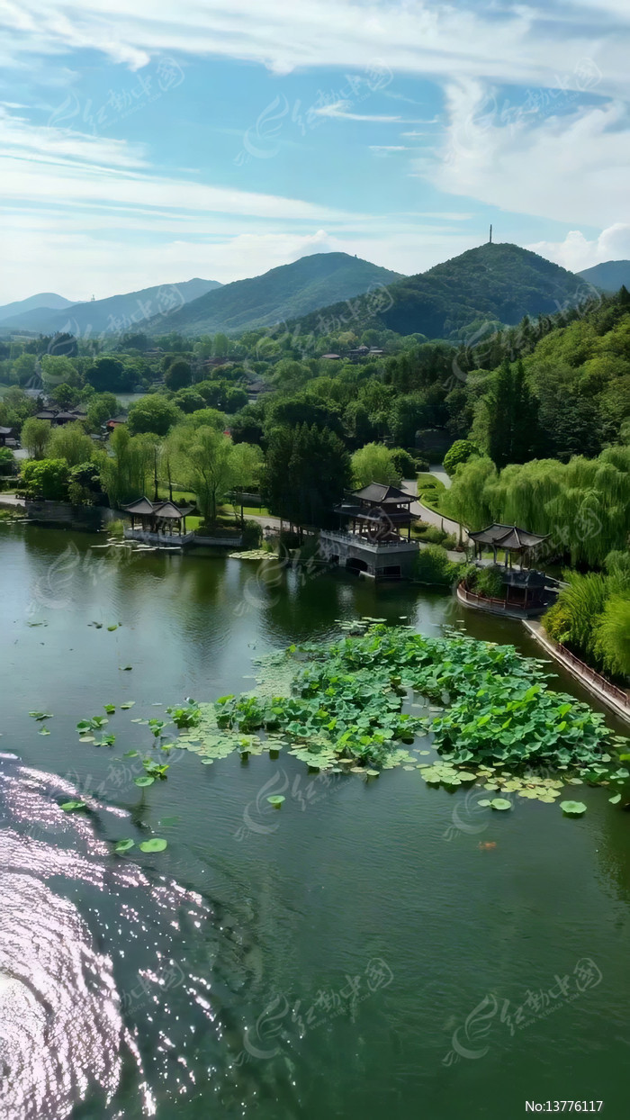 ɽˮ����ʽ԰�ֺ������