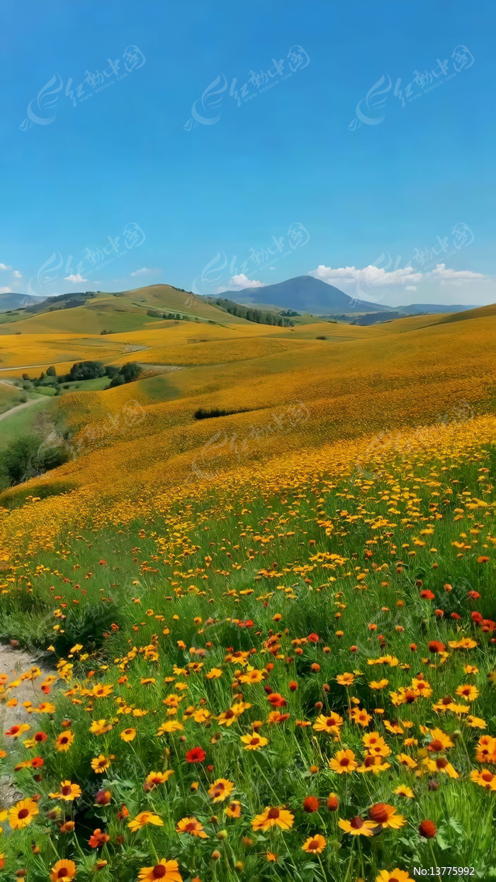 ɽҰ��Ľ�ƻ���