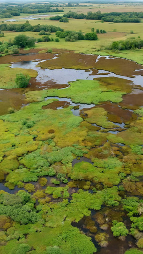 ʪ����Ȼ������ȫ��