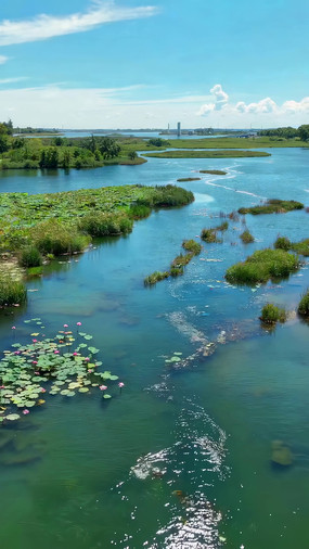 ʪ����Ȼ���ȫ��