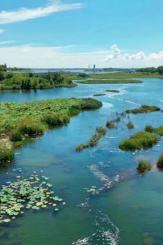湿地自然风光全景 湿地自然风光全景