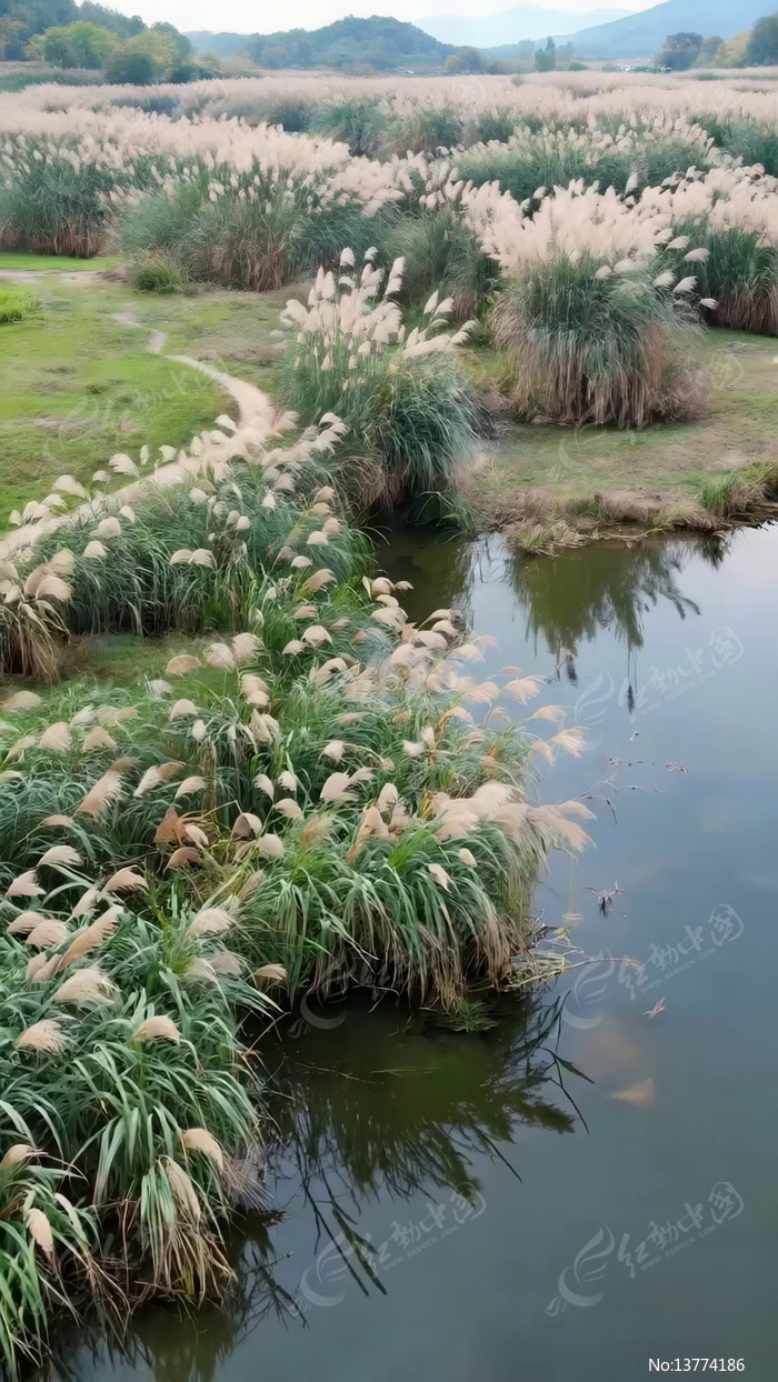 ˮ��«έ����Ȼ���