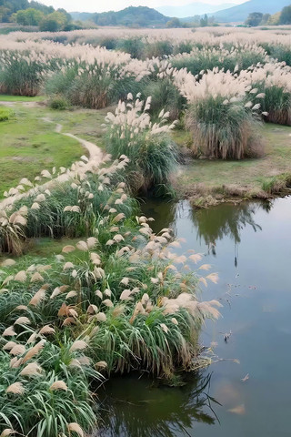 ˮ��«έ����Ȼ���