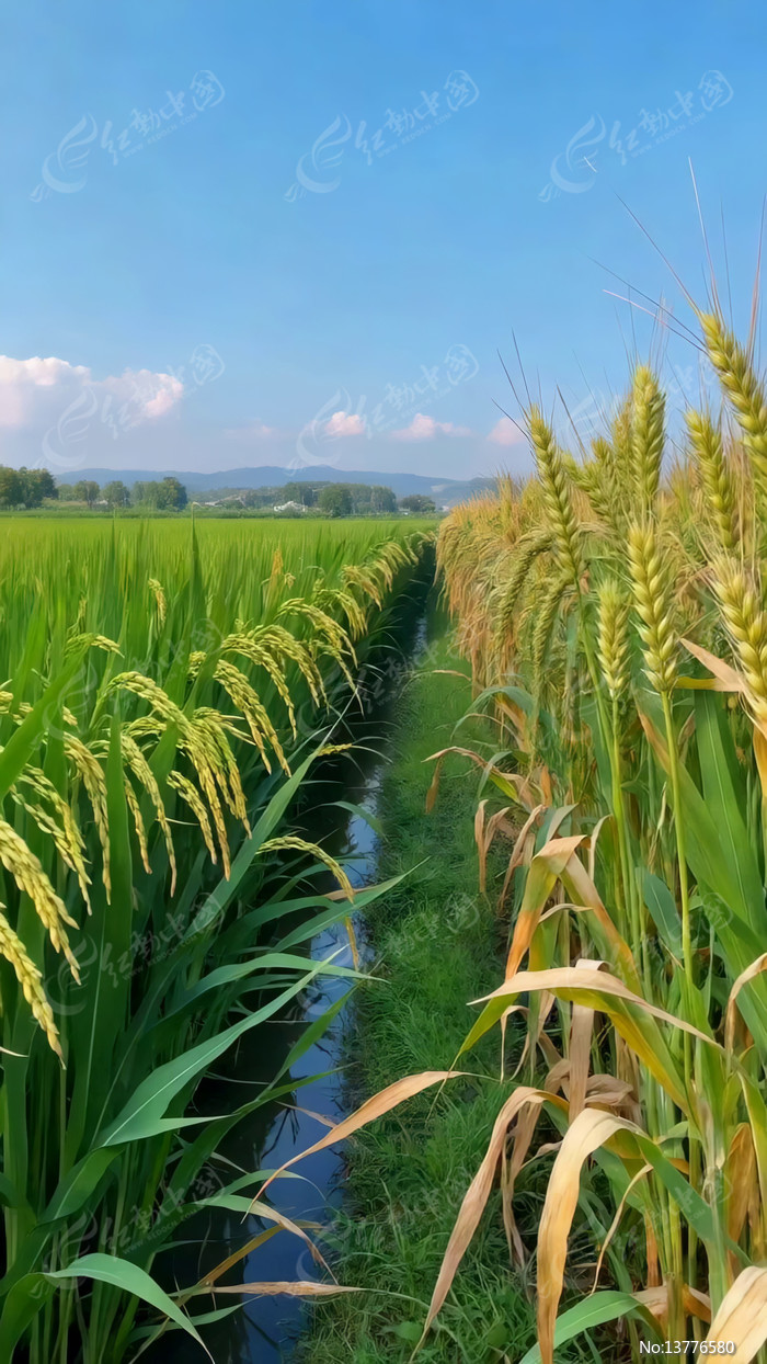 ���ˮ����С�󾰹�