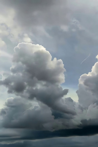 �������̬������Ʋ�