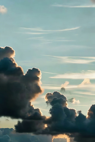 �������̬������ƶ�