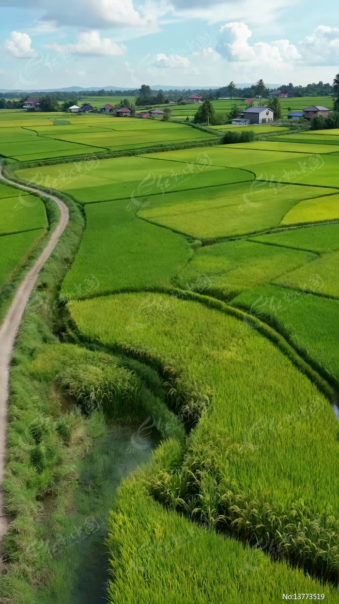 ��Ұ��������⸩�