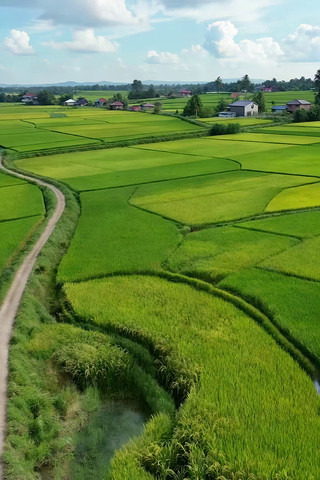 田野稻田乡村风光俯瞰 田野稻田乡村风光俯瞰