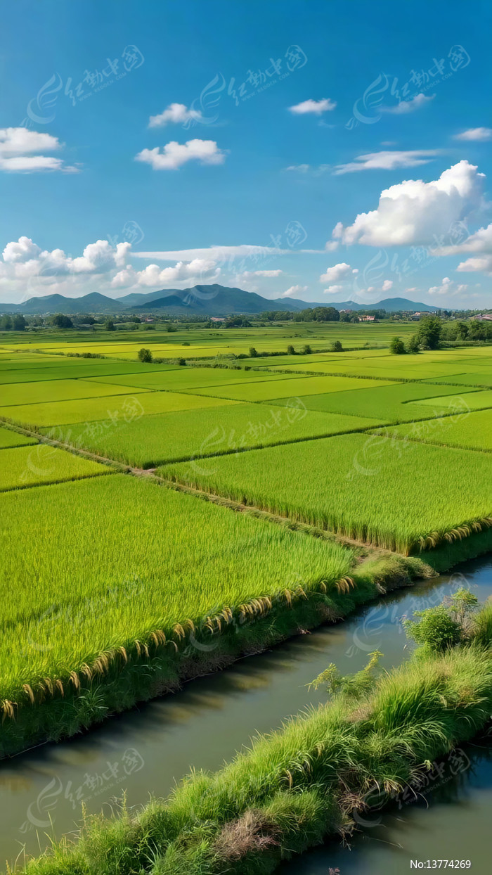 ��Ұ������Ȼ���