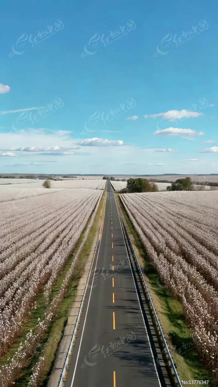 ��Ұ�乫·���Ļ���