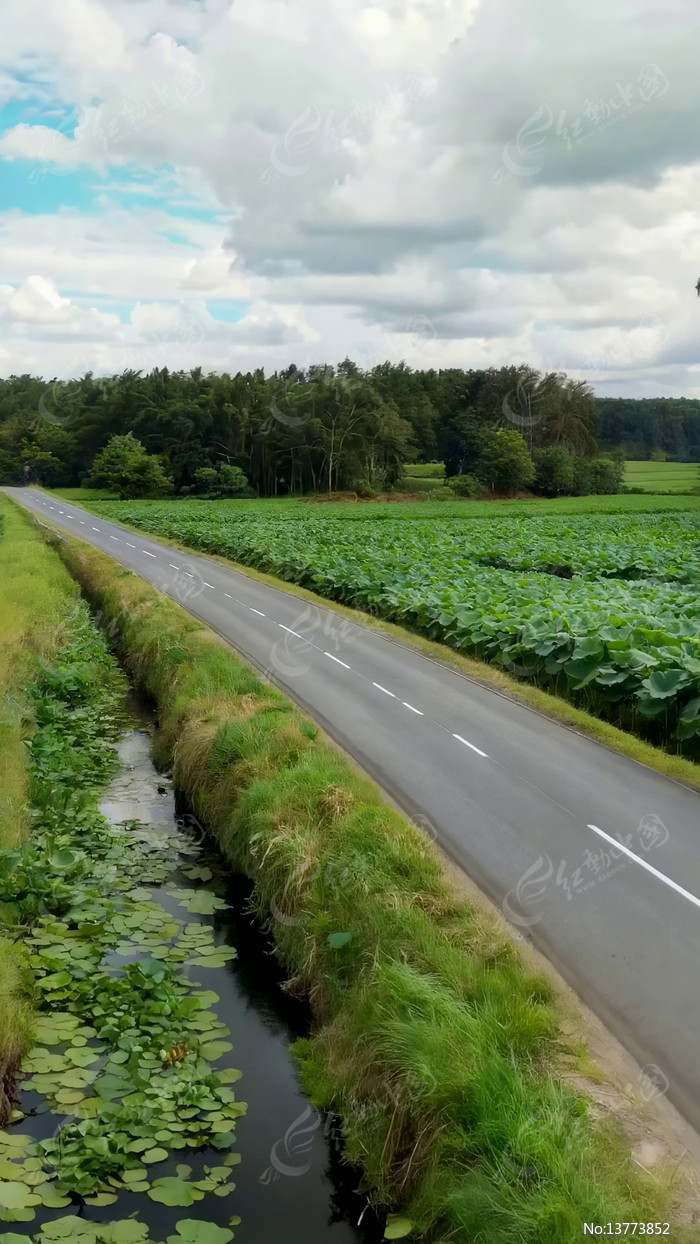 ��Ұ�乫·��Ȼ���