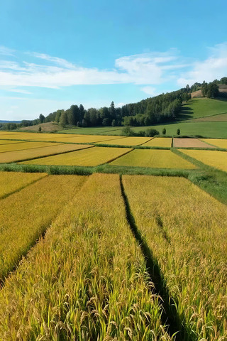 ��Ұ���Ƶ���羰