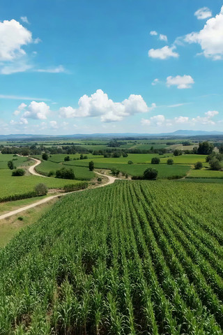 ��Ұ�����׵�������С·����