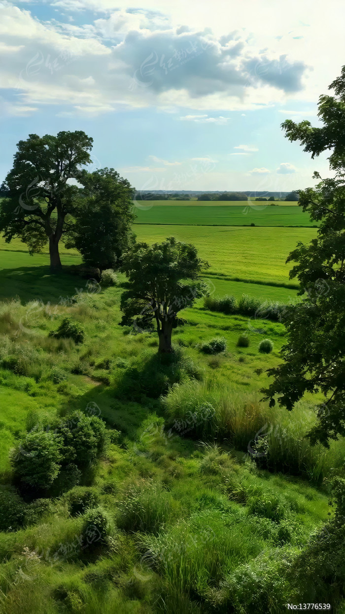 ��Ұ������Ȼ���