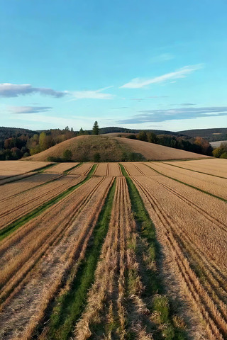 田野农田风光俯瞰 田野农田风光俯瞰