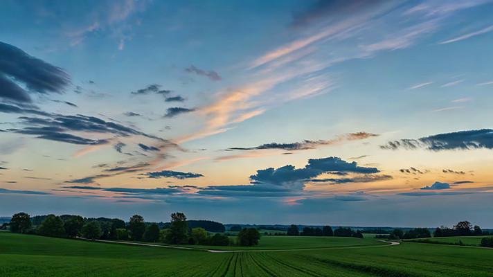 ��Ұ�����Ȼ���