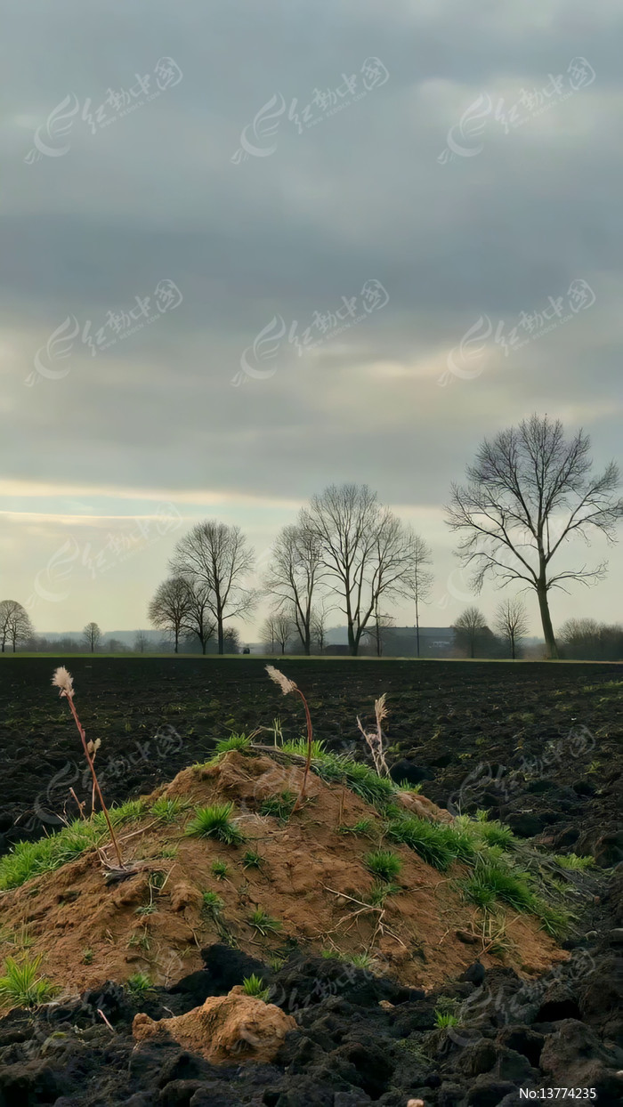 ��Ұ������Զ����ľ����