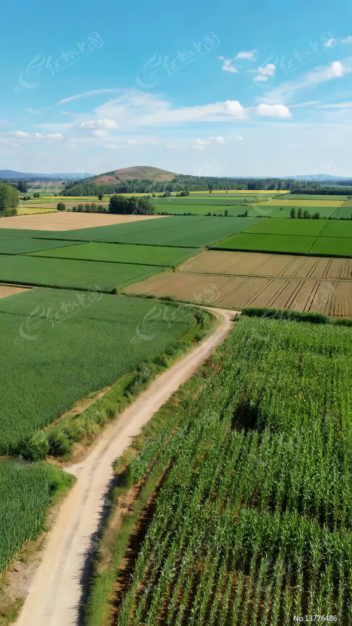 ��Ұ��丩���԰�羰