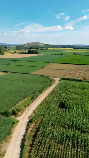 ��Ұ��丩���԰�羰