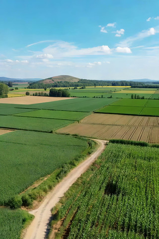 ��Ұ��丩���԰�羰