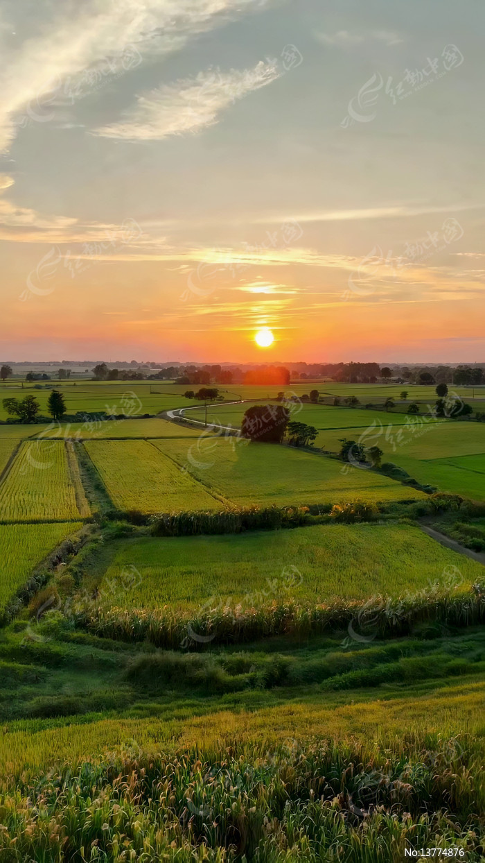 ��ҰϦ��ȫ�����