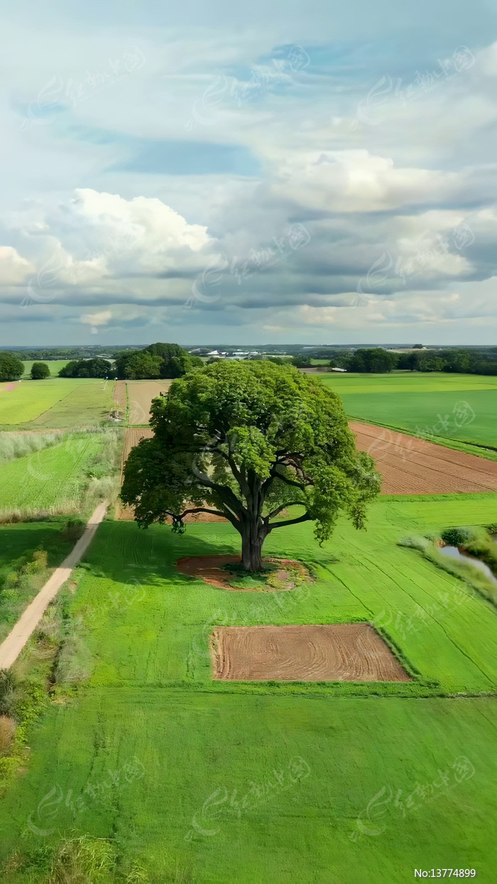 ��Ұ�д������ȫ��