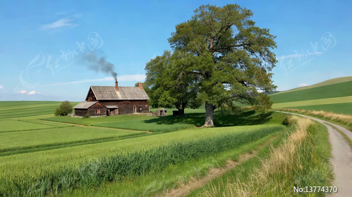 ��Ұ�е����С�������