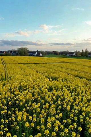 ��Ұ�е��Ͳ˻���԰���